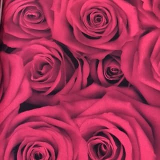 7000+ Wallpaper Bunga Rose 3d HD Paling Baru 7000+ Wallpaper Bunga Rose 3d HD Paling Baru