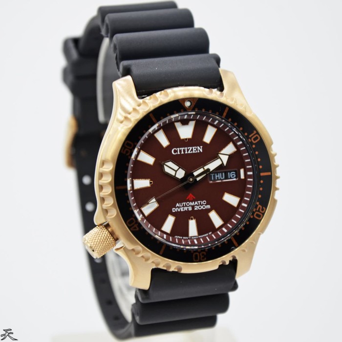jual citizen promaster