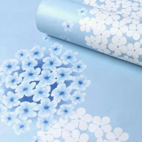 Download 200+ Wallpaper Dandelion Biru Download 200+ Wallpaper Dandelion Biru