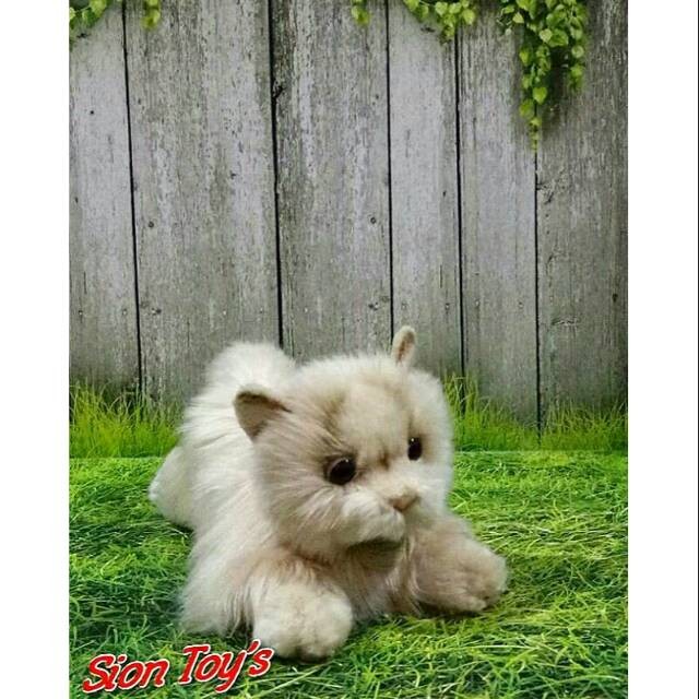 Jual Boneka Hewan Kucing Persia Laying Jakarta Barat Bestbrand