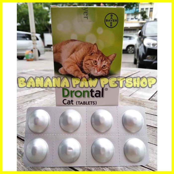 81 Gambar Obat Cacing Kucing Kekinian 81 Gambar Obat Cacing Kucing Kekinian