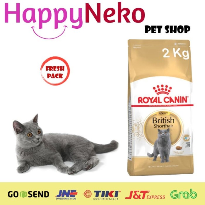 Info British Shorthair Travelbon.com Info British Shorthair Travelbon.com