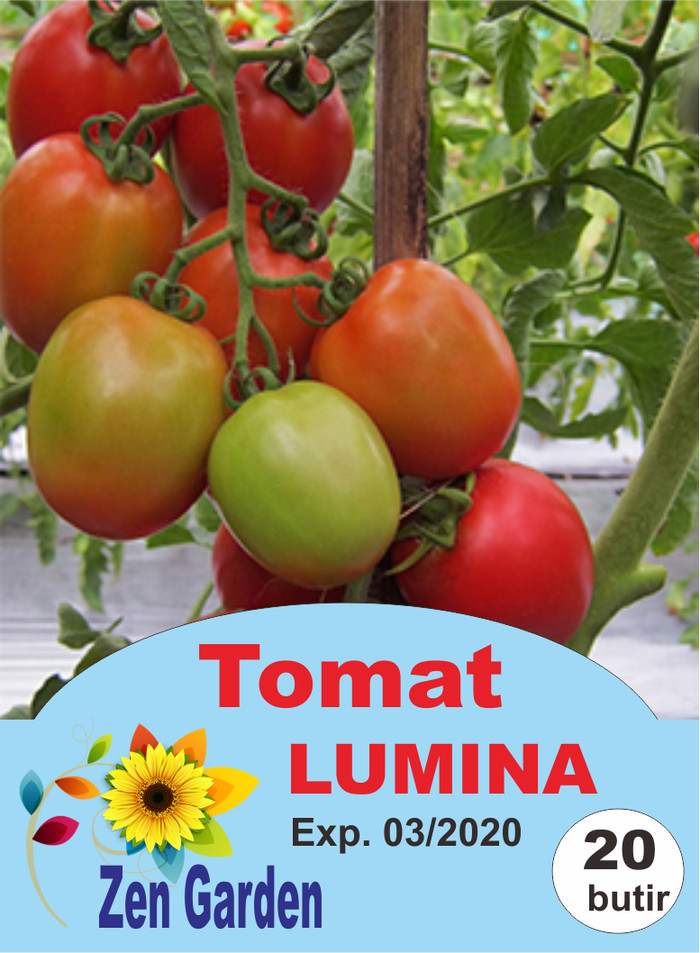 Mewarnai dan Menggambar Gambar Mewarnai Sayuran Tomat