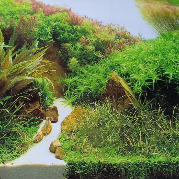 Katalog Gambar Background Cover Hargano.com Katalog Gambar Background Cover Hargano.com