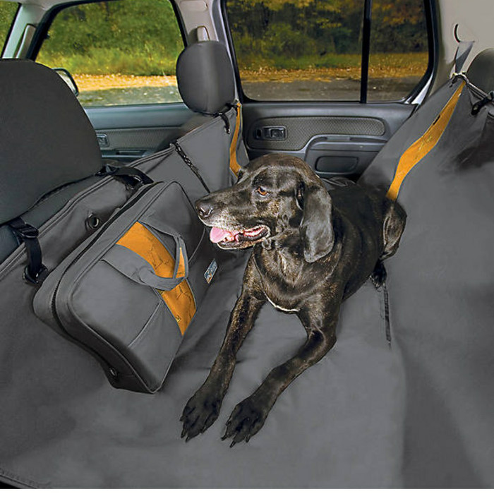 dog crates for hatchback cars