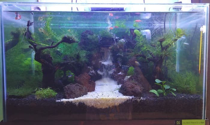 101 Gambar Aquascape Air Terjun HD 101 Gambar Aquascape Air Terjun HD