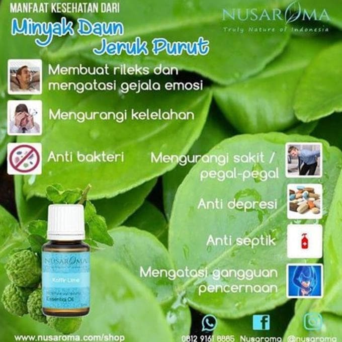 Dijual Kaffir Lime Essential Oil (Minyak Jeruk Purut) 10 Ml | 100%