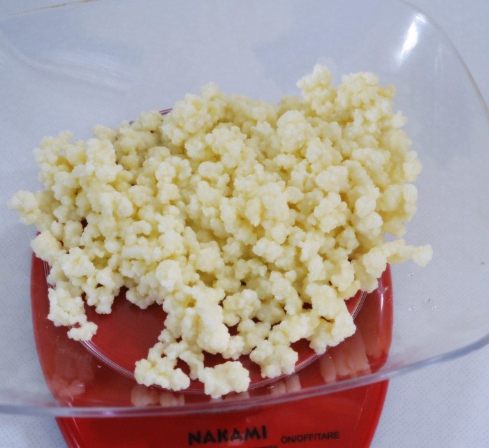 jual bibit kefir asli 1 gram kefir sehat jual bibit kefir asli 1 gram kefir sehat