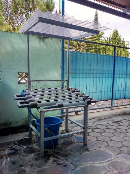 Katalog Kebun Set Mini Garden Hargano.com Katalog Kebun Set Mini Garden Hargano.com