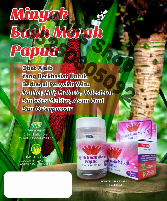 Info Minyak Buah Merah Hargano.com Info Minyak Buah Merah Hargano.com