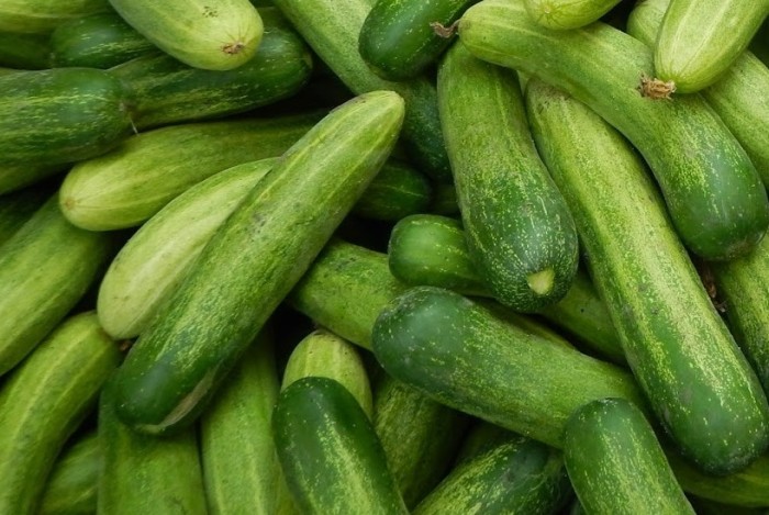 Buah mentimun segar