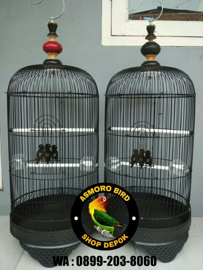 Harga Kandang Burung Besi Kotak Tentang Kolam Kandang Ternak