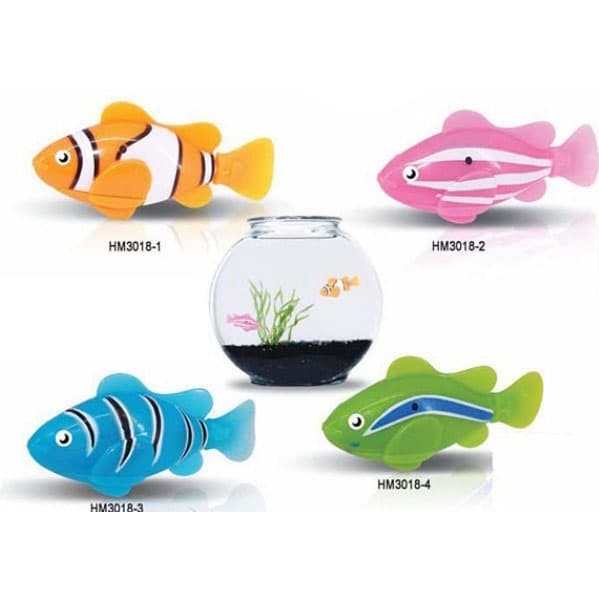 Harga Ikan Nemo Travelbon.com Harga Ikan Nemo Travelbon.com