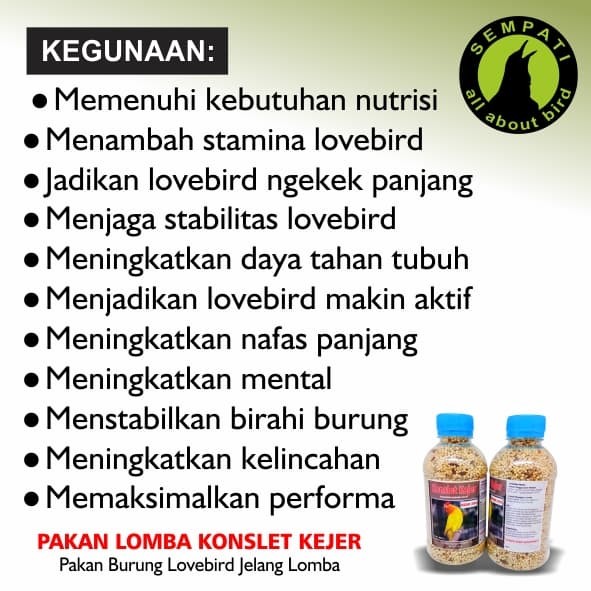 PAKAN BURUNG LOVEBIRD LOMBA KONSLET KEJER .