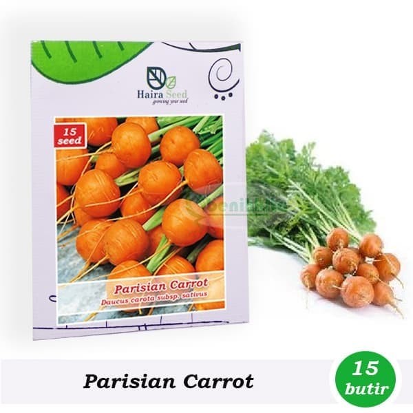 Katalog Bibit Wortel Hargano.com Katalog Bibit Wortel Hargano.com