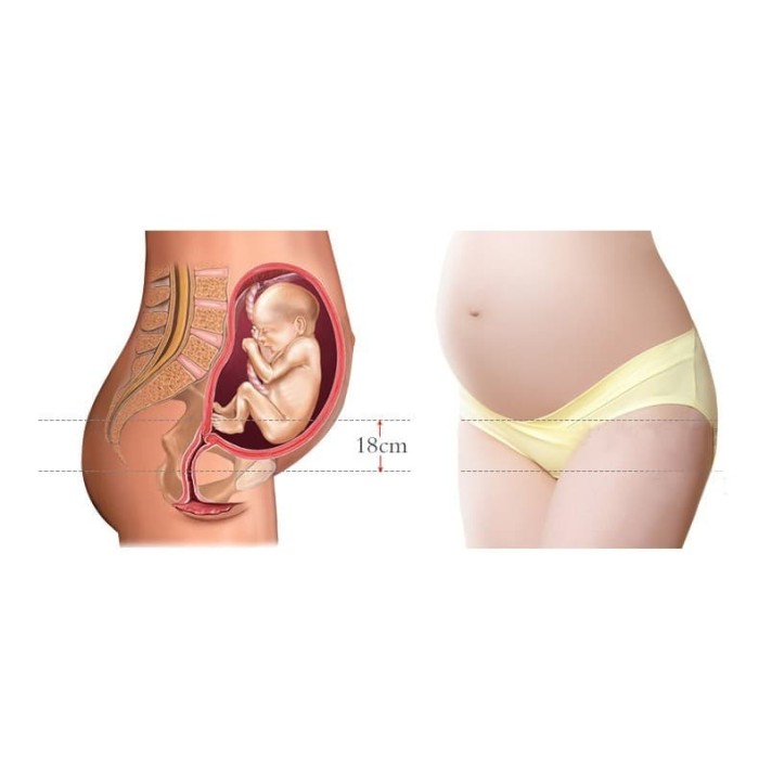 CELANA DALAM HAMIL CD WANITA IBU HAMIL BUMIL MATERNITY PANTY CD.508