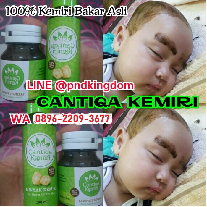 jual cantiqa kemiri penumbuh rambut alis bayi s/d dewasa (100 Minyak Dan Saripati Cantiqa Kemiri jual cantiqa kemiri penumbuh rambut alis bayi s/d dewasa (100 Minyak Dan Saripati Cantiqa Kemiri