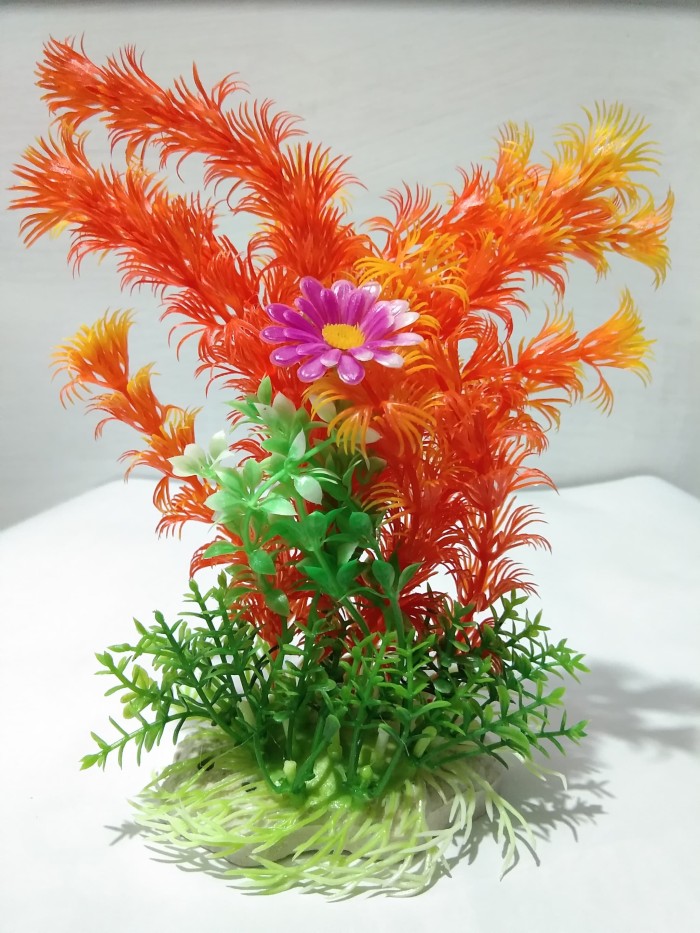 6000+ Gambar Daun Warna Warni HD Terbaru 6000+ Gambar Daun Warna Warni HD Terbaru