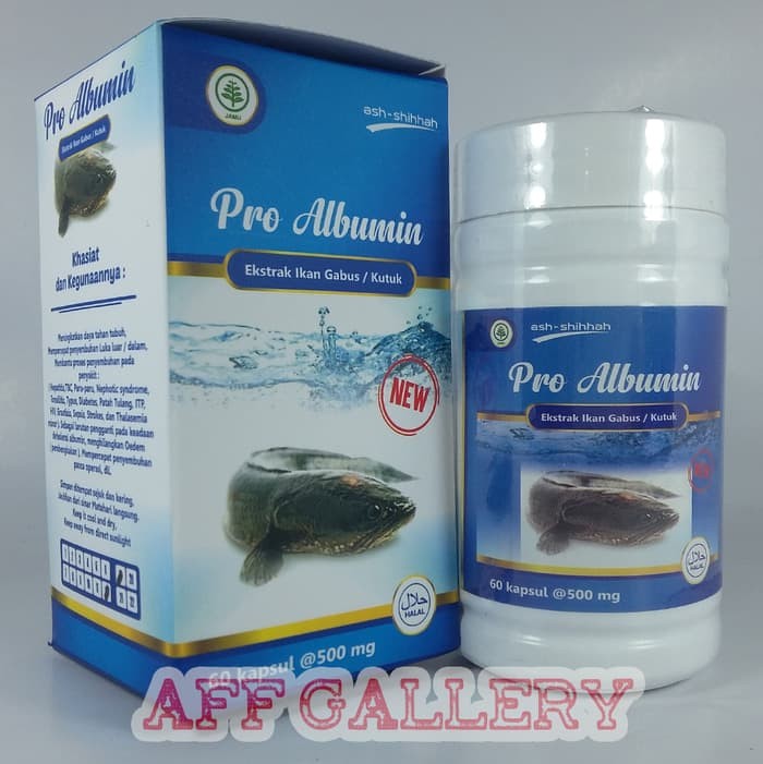 PRO ALBUMIN Kapsul Ekstrak Ikan Gabus | Kutuk Ash Shihah