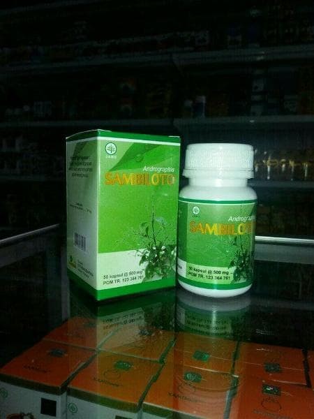 sambiloto obat diabetes kolagit