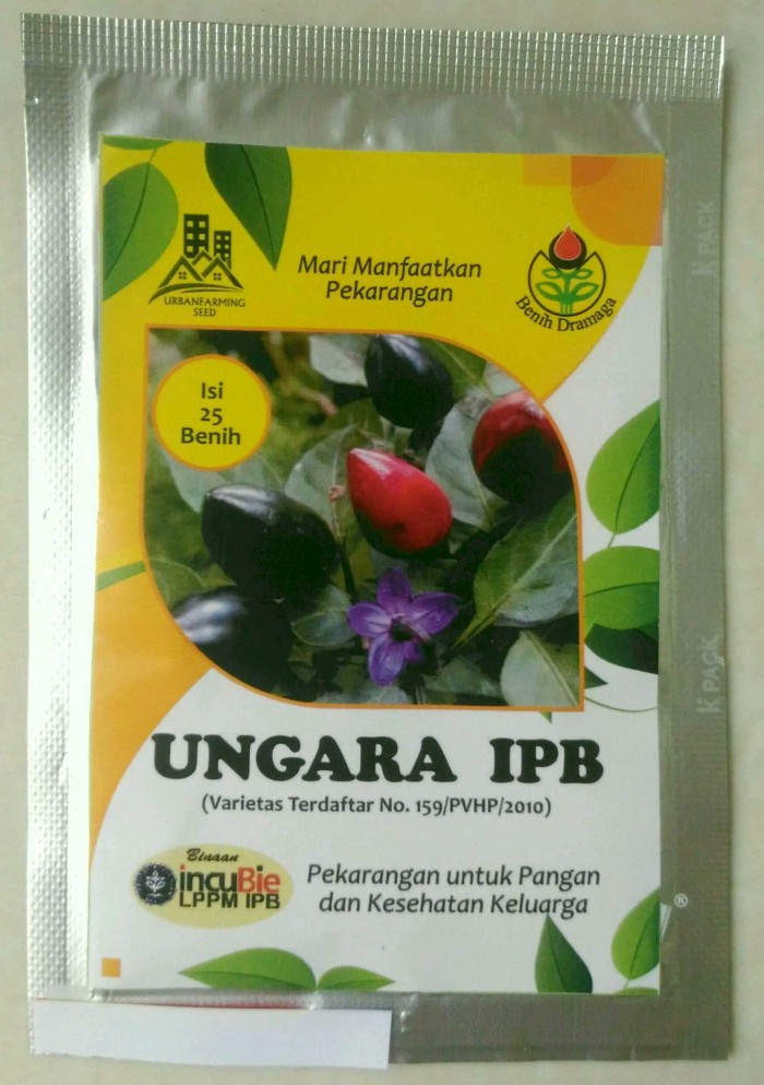 jual benih cabai hias ipb ungara benih dramaga jual benih cabai hias ipb ungara benih dramaga