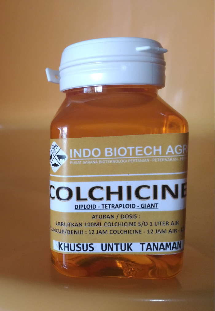 Colchicine Jual