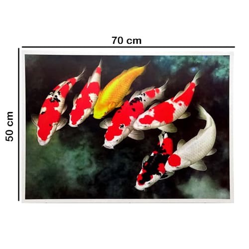 Harga Gambar Ikan Koi Travelbon.com Harga Gambar Ikan Koi Travelbon.com