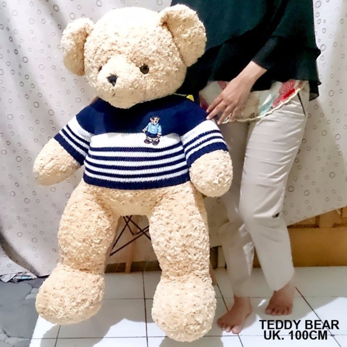harga teddy house