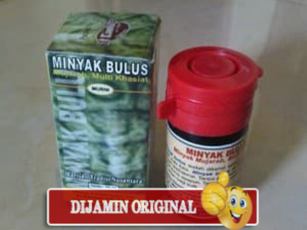 Minyak Bulus Asli - Pengencang Payudara dan Penguat Alat Vital