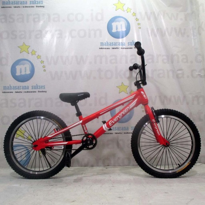  Harga Sepeda Bmx Dewasa - Bmx United