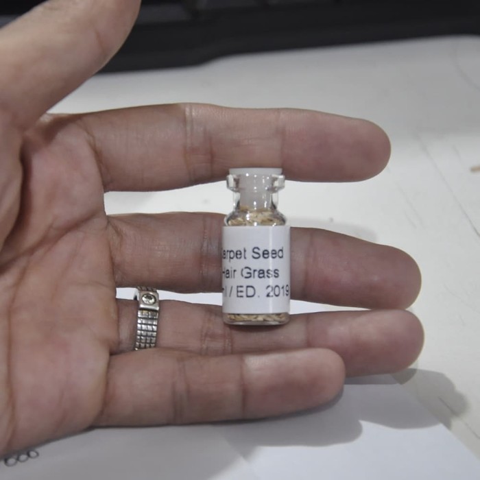 Bibit Mini Hair Grass Seed Dasar Akuarium Aquascape Kemasan 3 ml 12062
