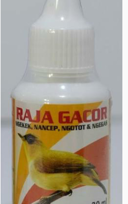 Harga Suara Burung Gacor DaftarHarga.Pw Harga Suara Burung Gacor DaftarHarga.Pw