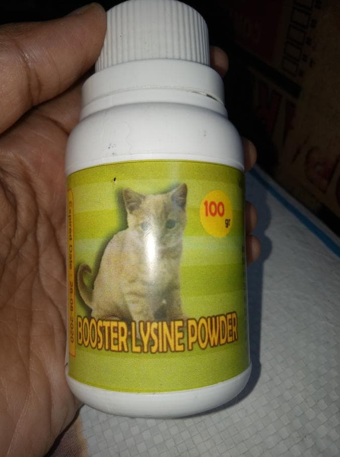 Info Vitamin Penambah Nafsu Makan Kucing Travelbon.com Info Vitamin Penambah Nafsu Makan Kucing Travelbon.com
