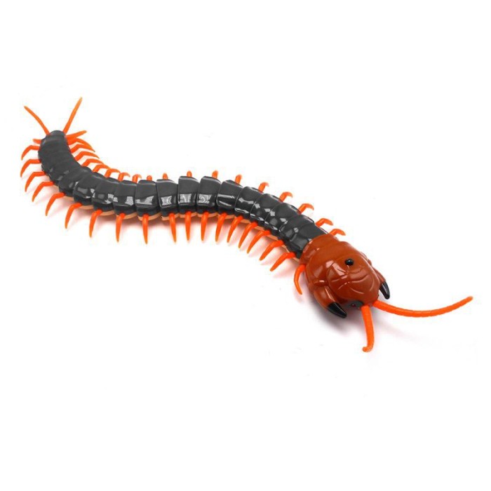 remote control centipede