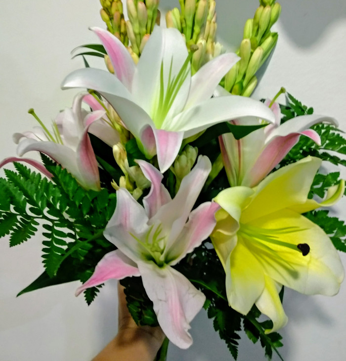 Download 8000+ Wallpaper Bunga Lily Vas HD Paling Baru Download 8000+ Wallpaper Bunga Lily Vas HD Paling Baru