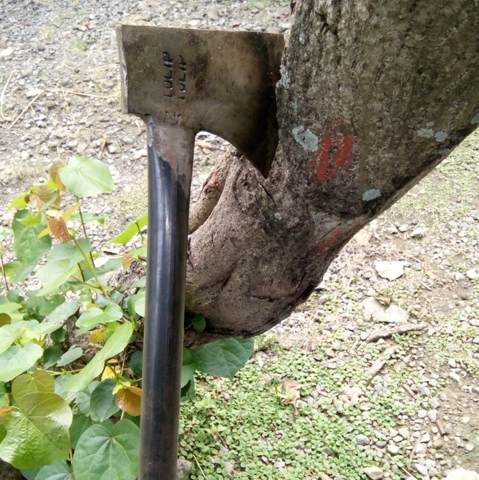 Jual KAPAK Tajam dan Kuat GAGANG BESI Kampak Pemotong Jual KAPAK Tajam dan Kuat GAGANG BESI Kampak Pemotong