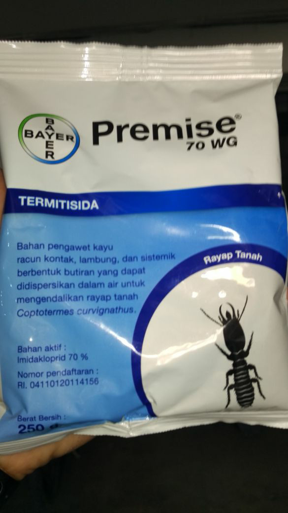 ratu rayap obat diabetes cina