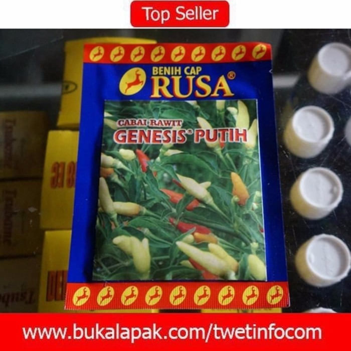 Amefurashi Bibit Benih Bunga Gerbera Daisy Flower - Daftar Harga ... - 1 ... Source · PROMO Benih Cabe RAWIT Berkualitas GENESIS PUTIH Cap Rusa
