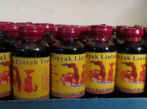 Info Minyak Lintah Asli Kalimantan Hargano.com Info Minyak Lintah Asli Kalimantan Hargano.com