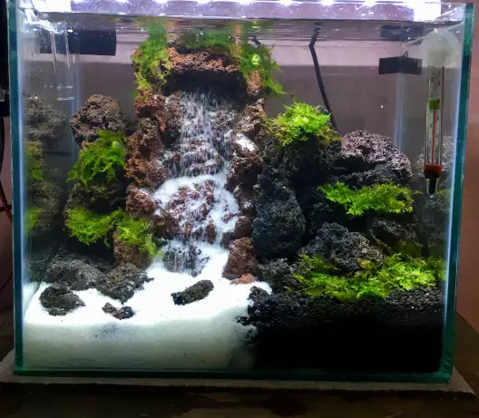 101 Gambar Aquascape Air Terjun HD 101 Gambar Aquascape Air Terjun HD