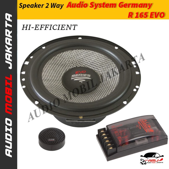 Audio System R Series Subwoofer