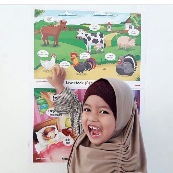 400 Gambar Buah Buahan Untuk Belajar Anak 400 Gambar Buah Buahan Untuk Belajar Anak
