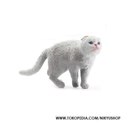 Harga Scottish Fold Travelbon.com Harga Scottish Fold Travelbon.com