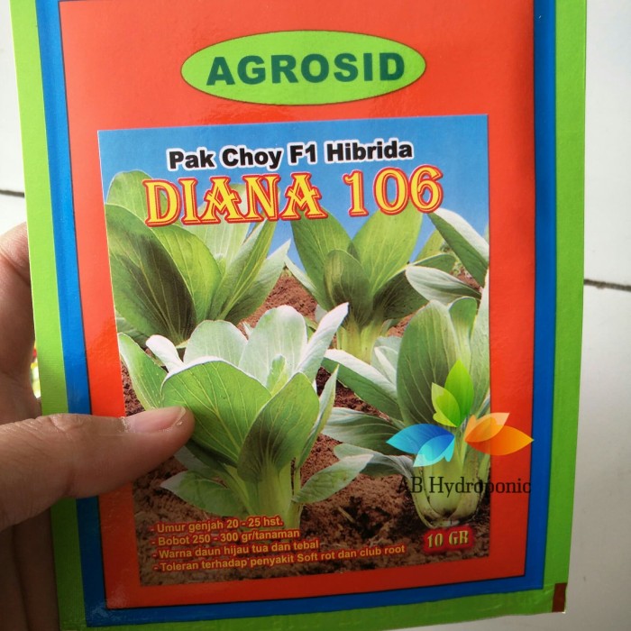Benih Agrosid Pak Choy Diana 106 Calon Bibit Hibrida F1 Hidroponik