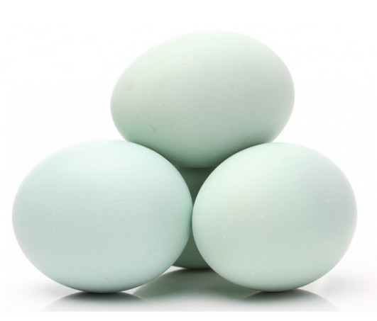 Jual Telur Asin Matang Berkualitas (Telur Bebek asli) - Kab. Tangerang
