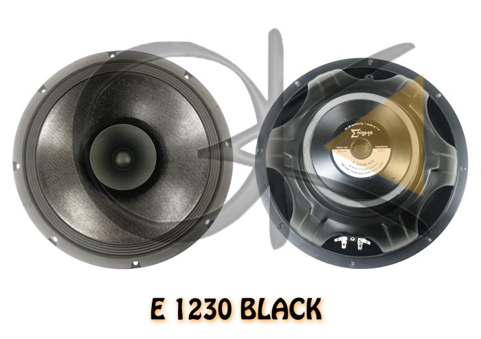speaker enigma 12 inch