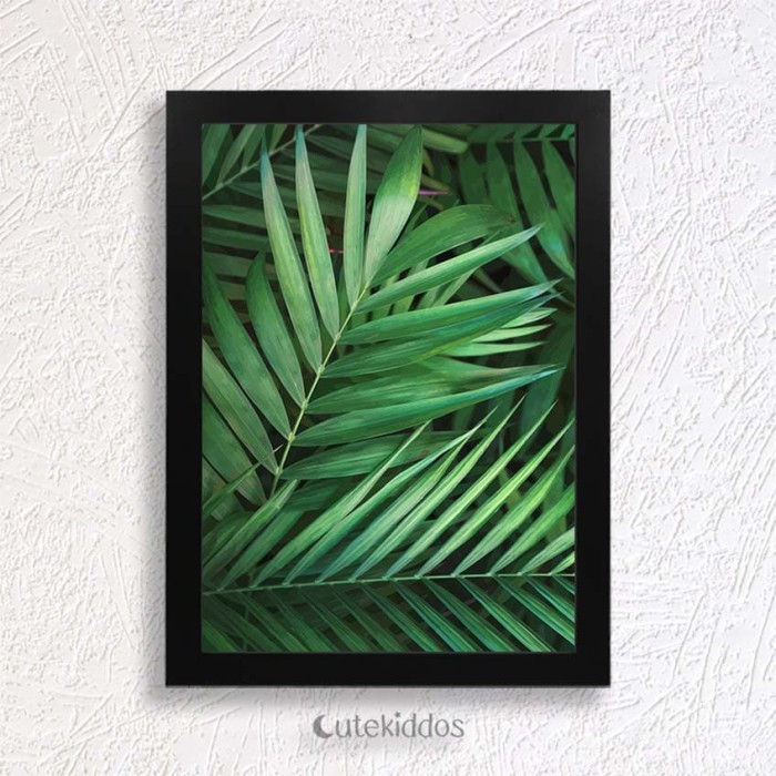 800+ Gambar Daun Tropis HD Terbaru 800+ Gambar Daun Tropis HD Terbaru