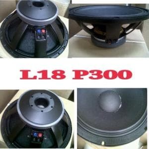 speaker soundtech 18 inch
