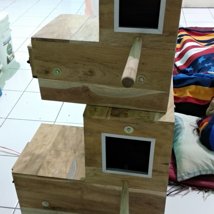 Jual Glodok Ternak Burung Sun Conure Nuri Bayan Monk Dll