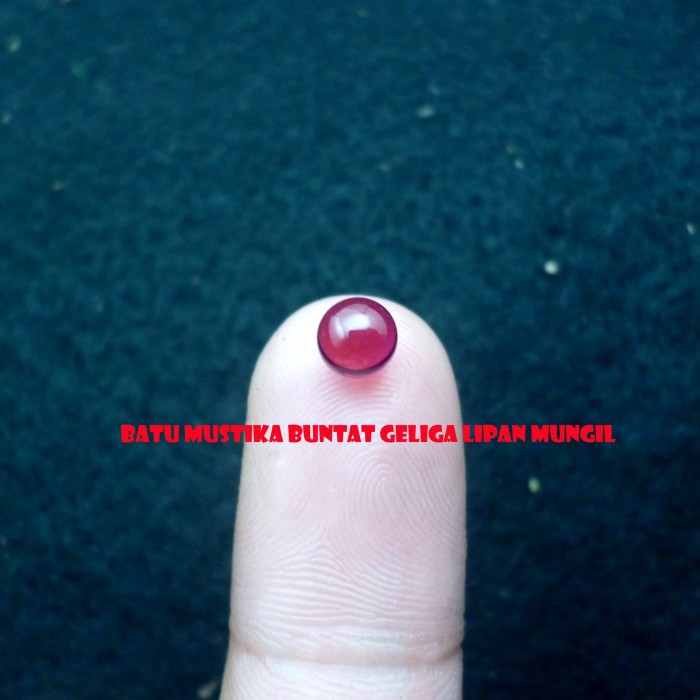 Harga Batu Akik Lipan Hargano.com Harga Batu Akik Lipan Hargano.com